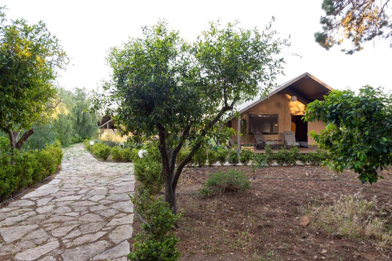 Villa Duca Di Castelmonte Trapani Exterior foto
